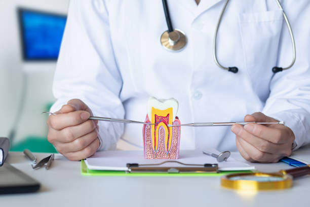 Best After-Hours Dental Care in Garrett, TX
